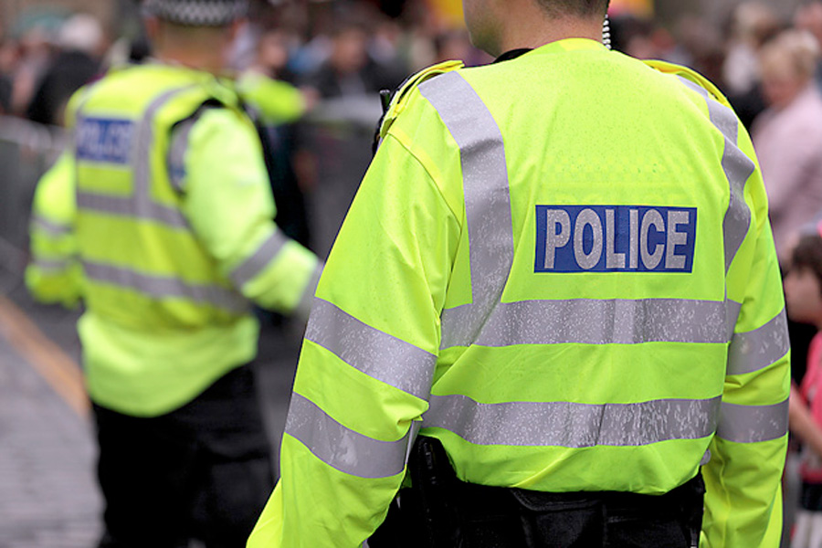 Stolen Vehicles Seized