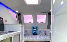 Stand Out On The Campsite