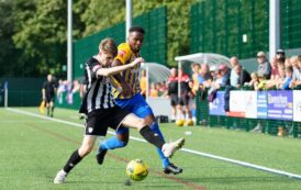 Bank Holiday Bonanza